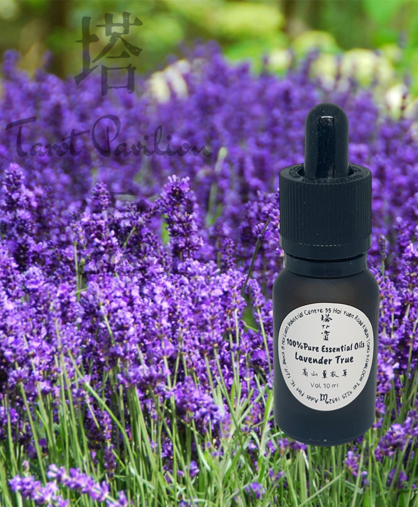 有機真正薰衣草精油 Lavender Trve