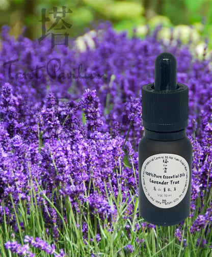 有機真正薰衣草精油 Lavender Trve