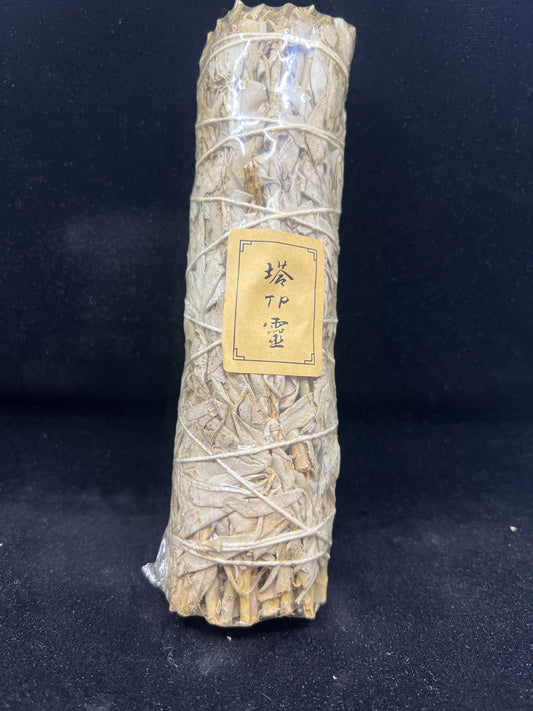 白鼠尾草（White Sage）
